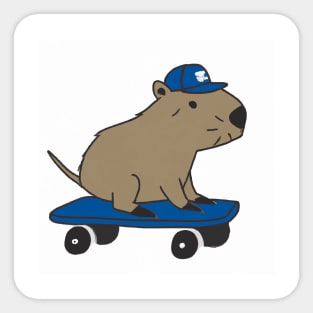 Capybara skating Sticker